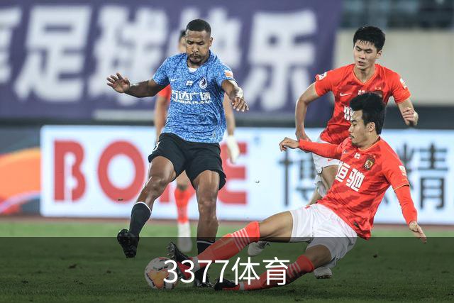 3377体育公司简介图片
